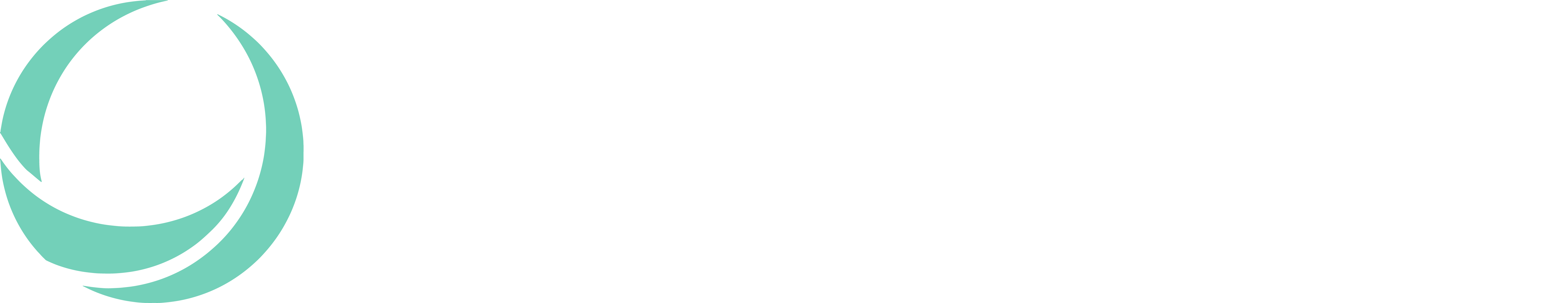 itconsult-logo-white